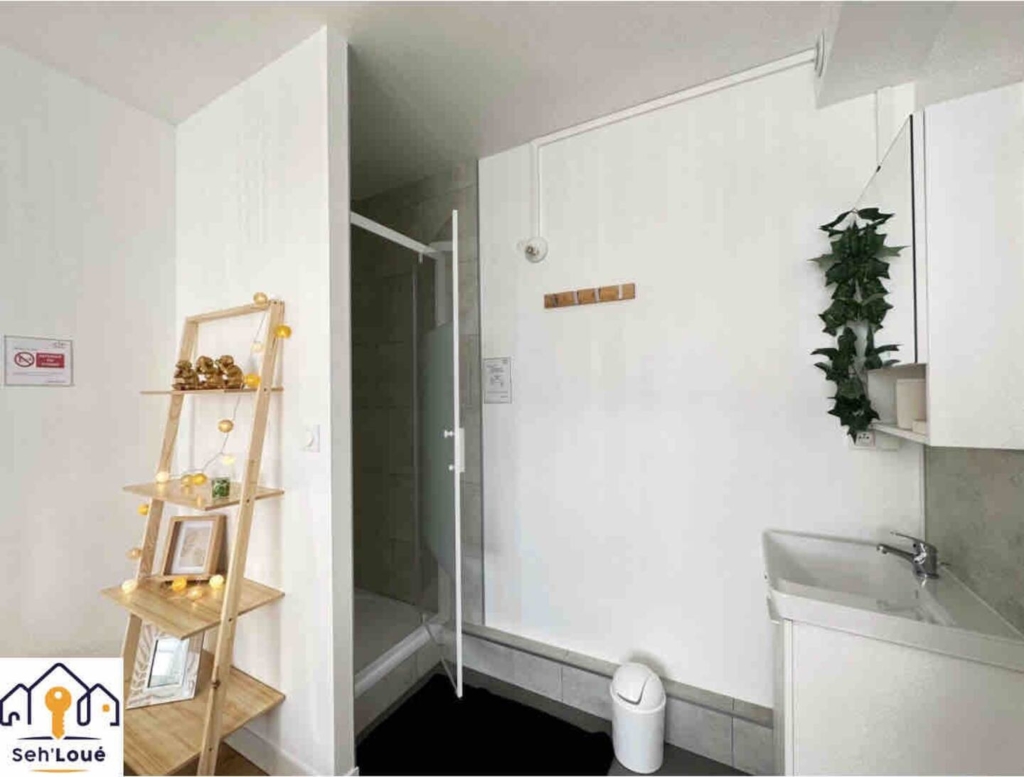 etoile-appartement-sehloue-saintbrieuc-salle-de-bain